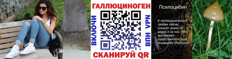 Купить где  Тогучин  Галлюциногенные грибы мухоморы 